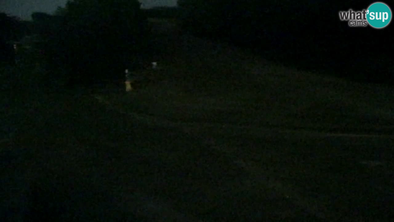 Web kamera Pohorje Trikotna Jasa | Poštela