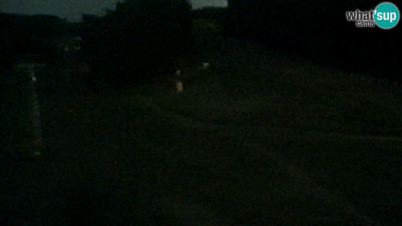 Webcam Pohorje Trikotna Jasa | Poštela