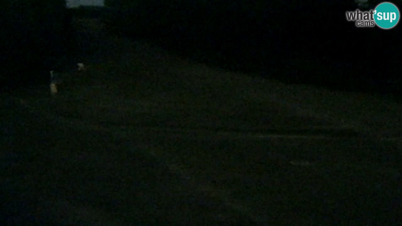 Webcam Pohorje Trikotna Jasa | Poštela