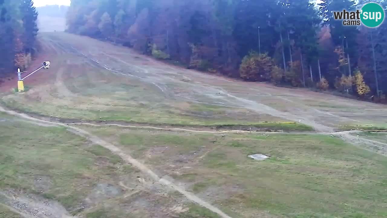 Webcam Pohorje Trikotna Jasa | Poštela