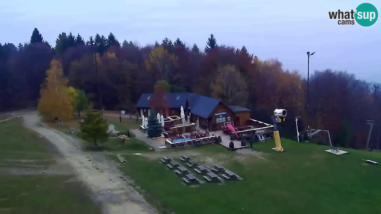 Webcam Pohorje Trikotna Jasa | Poštela