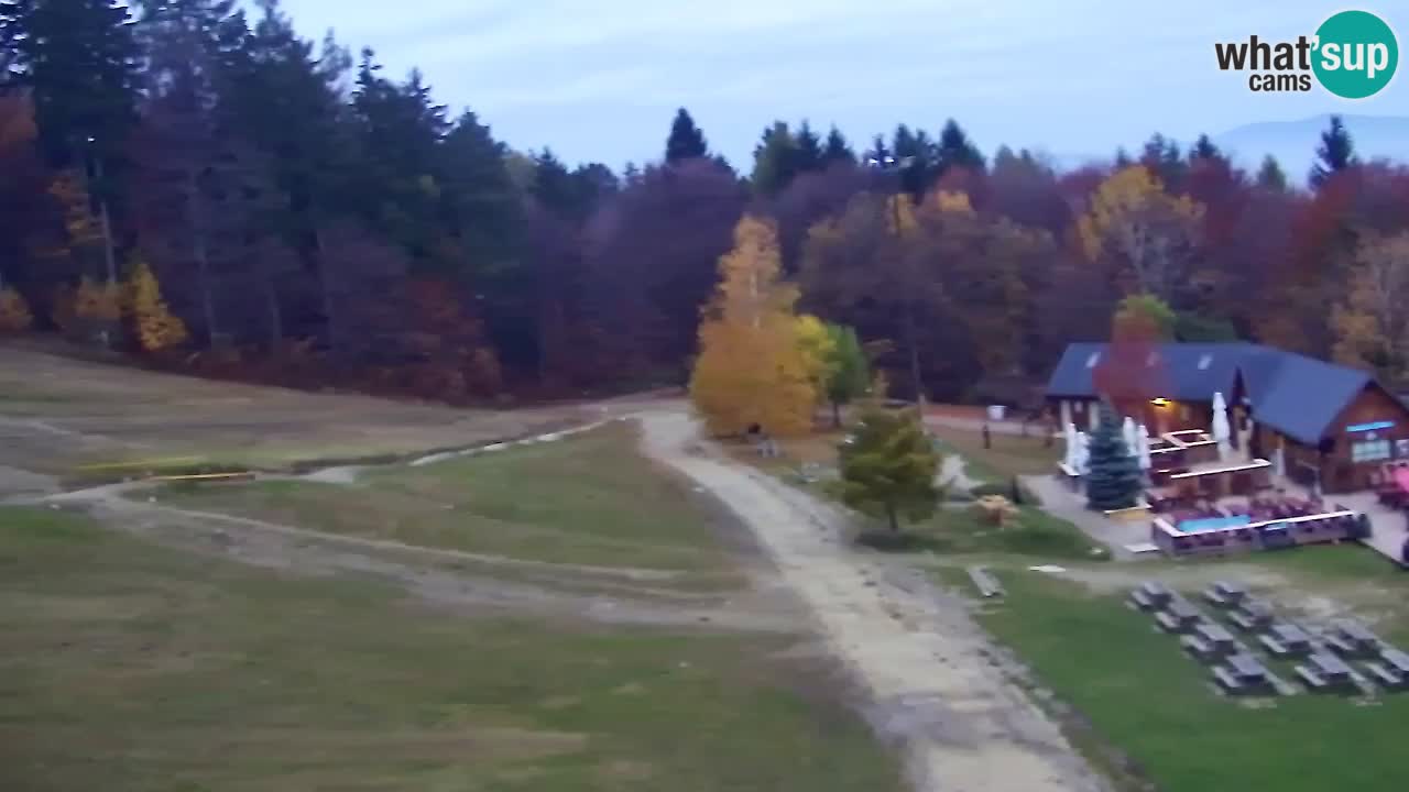 Web Camera Pohorje Trikotna Jasa | Poštela