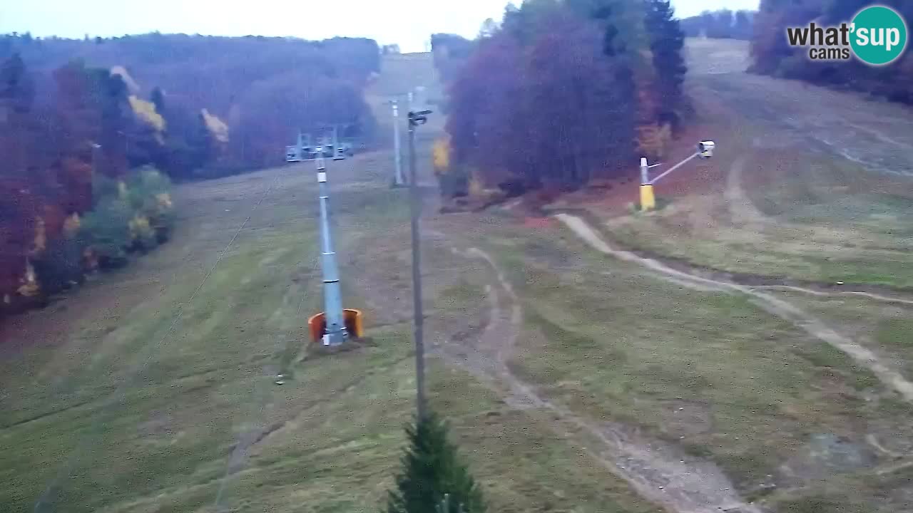 Webcam Pohorje Trikotna Jasa | Poštela