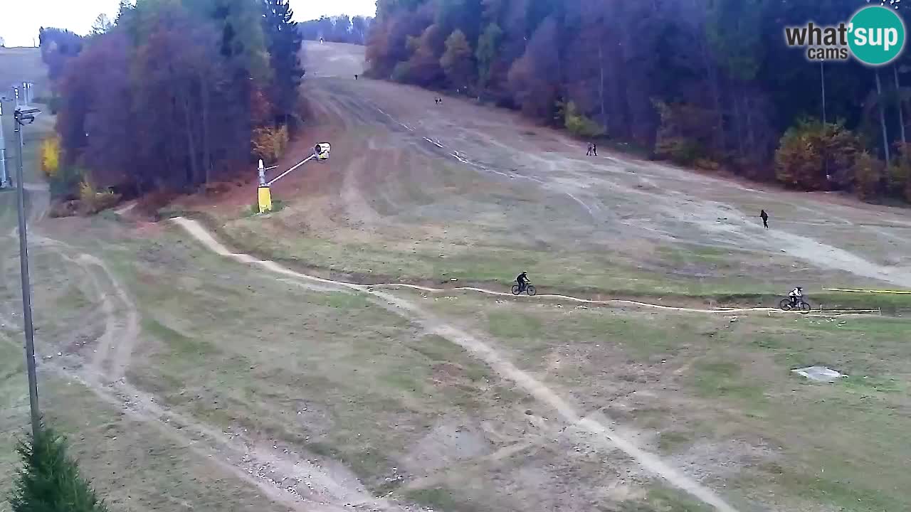 Web Camera Pohorje Trikotna Jasa | Poštela