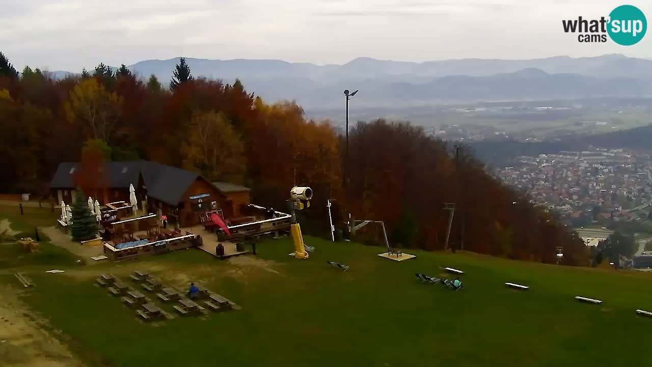 Webcam Pohorje Trikotna Jasa | Poštela