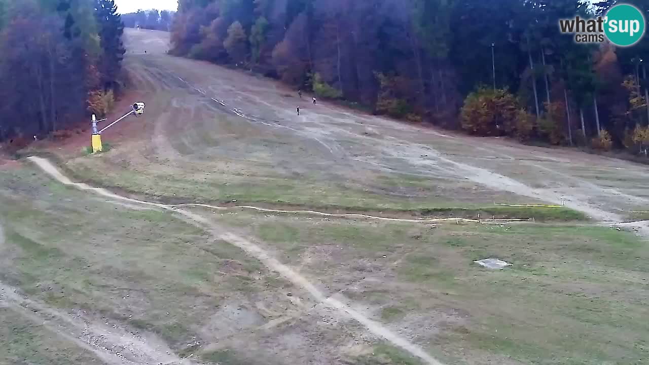 Webcam Pohorje Trikotna Jasa | Poštela