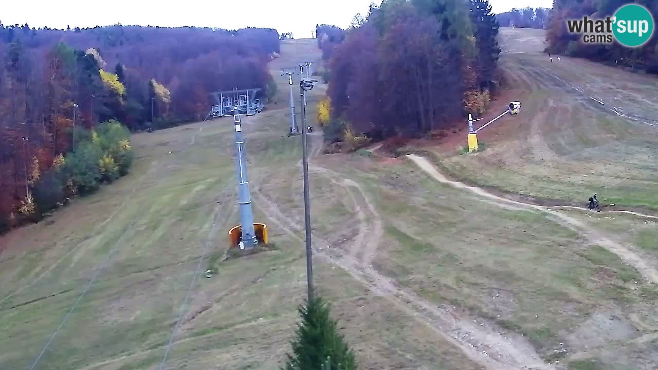 Webcam Pohorje Trikotna Jasa | Poštela
