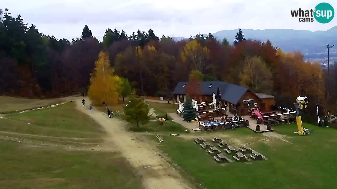 Webcam Pohorje Trikotna Jasa | Poštela