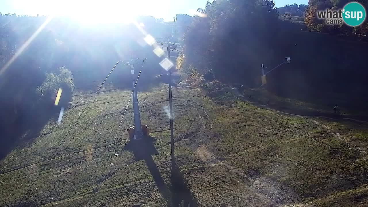 Web Camera Pohorje Trikotna Jasa | Poštela