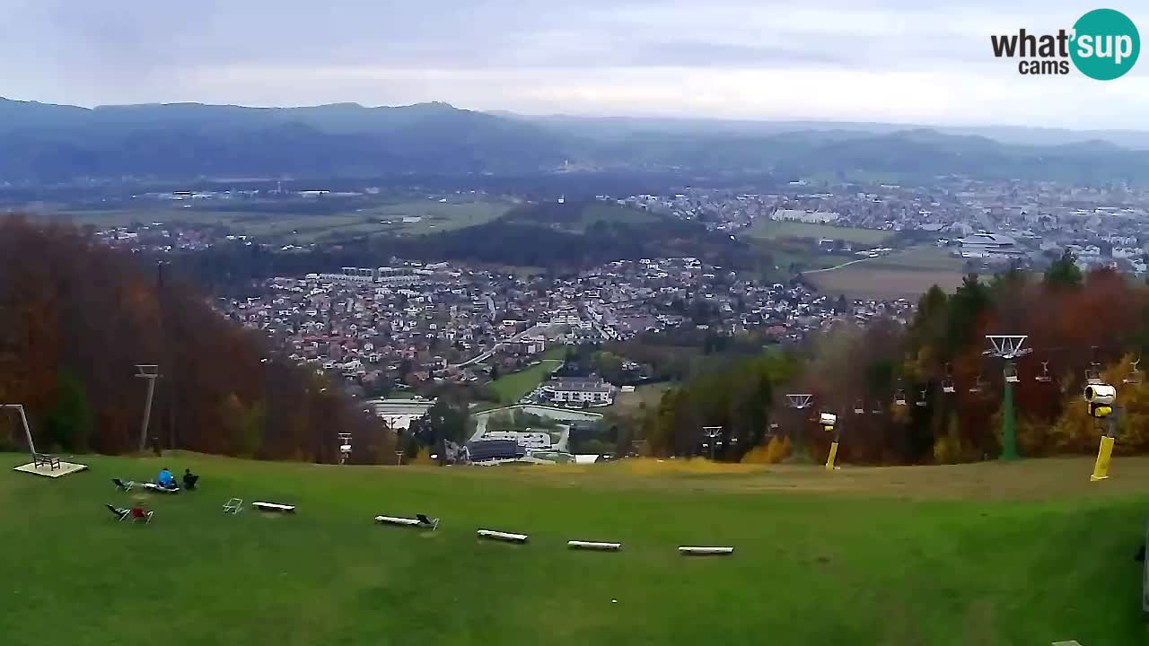 Webcam Pohorje Trikotna Jasa | Poštela