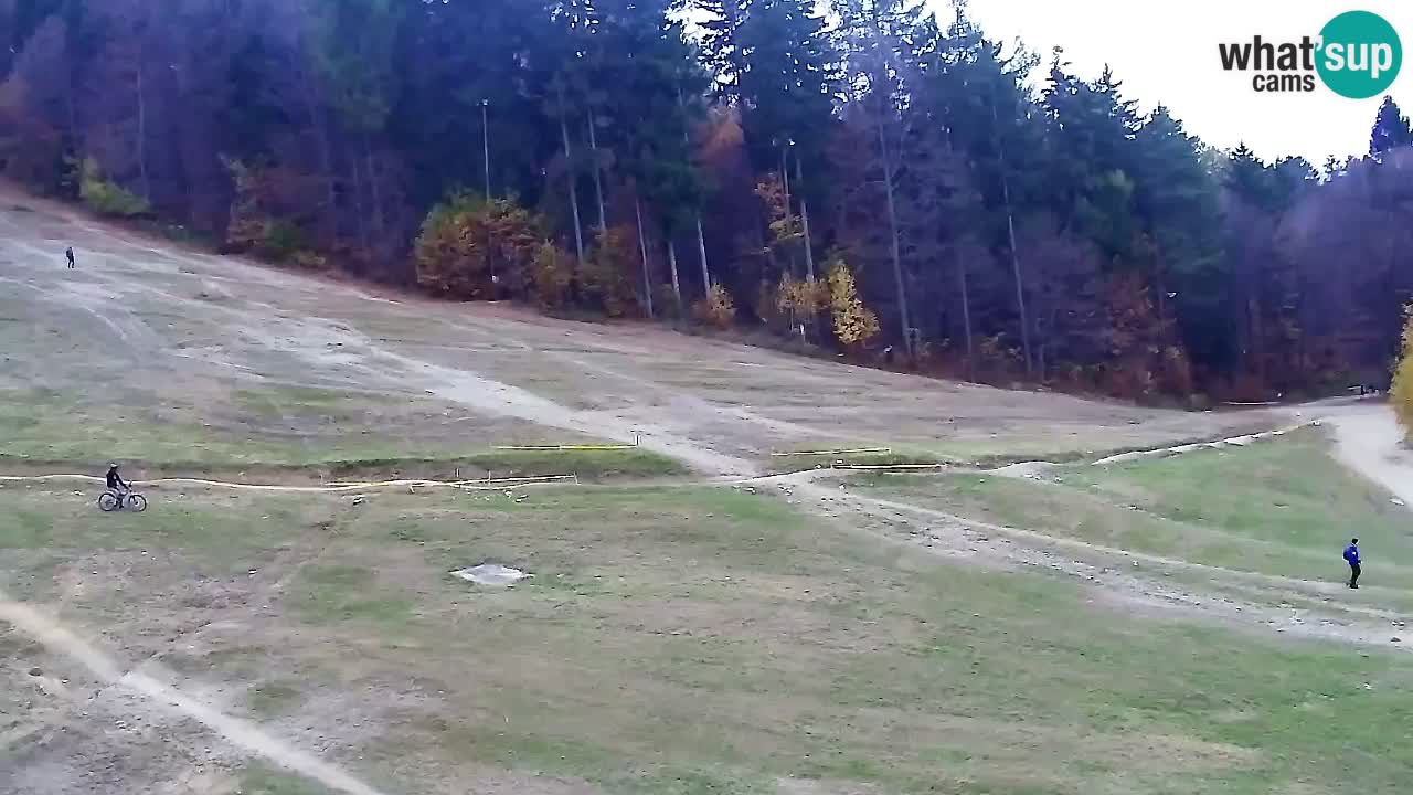 Spletna Kamera Pohorje Trikotna Jasa | Poštela