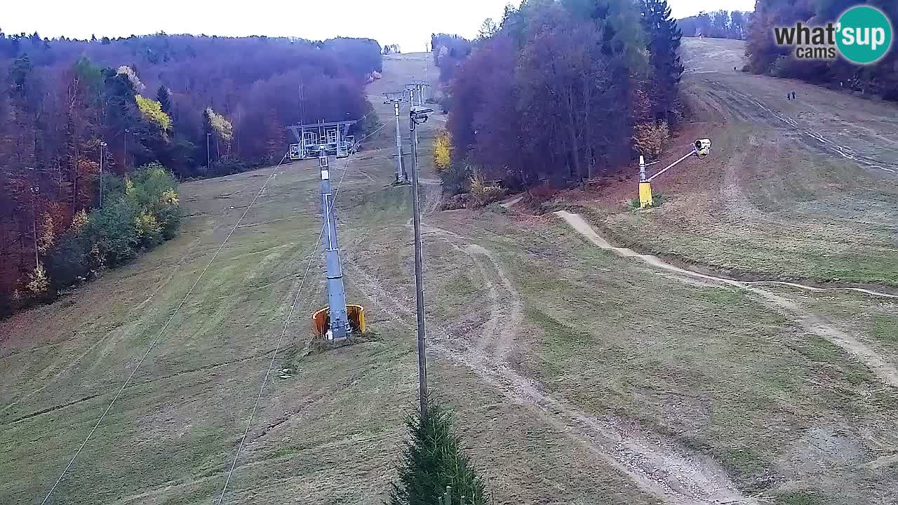 Web Camera Pohorje Trikotna Jasa | Poštela