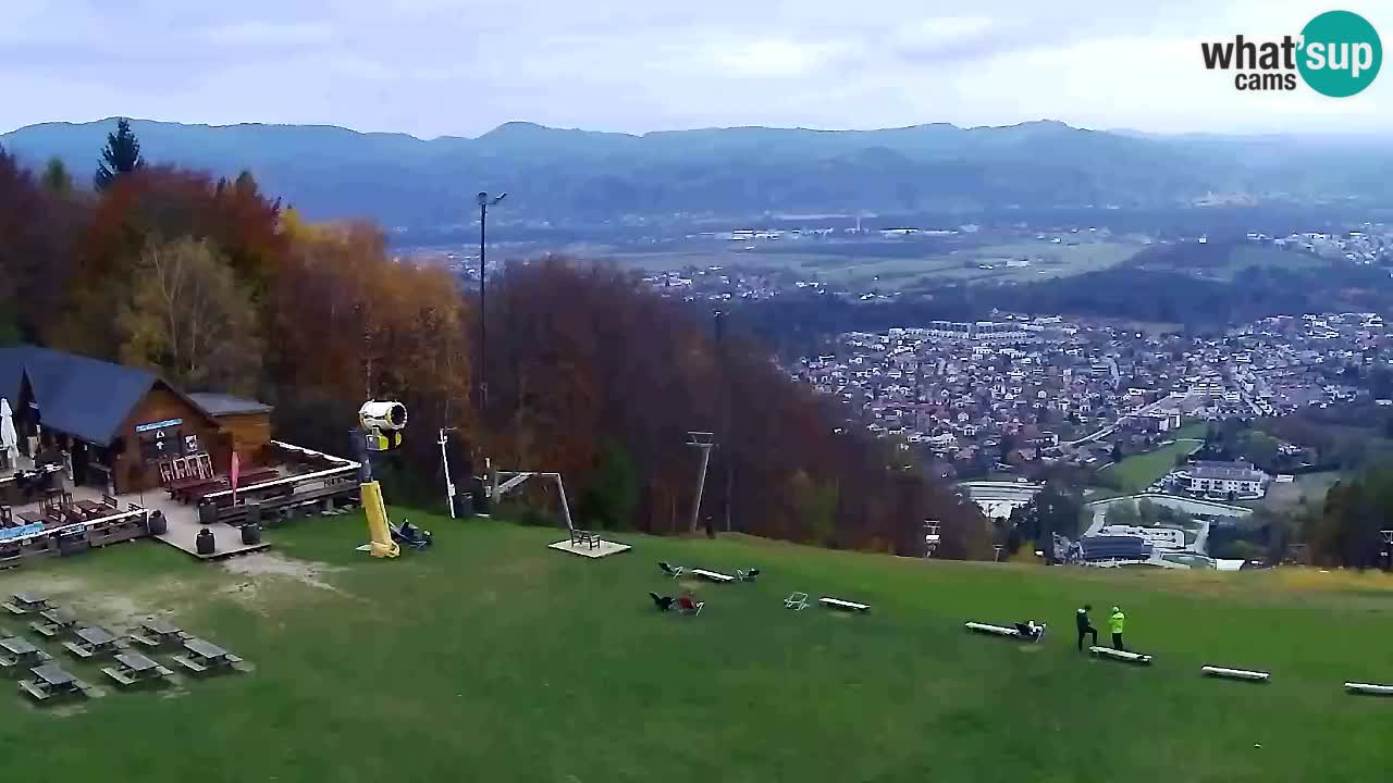 Webcam Pohorje Trikotna Jasa | Poštela