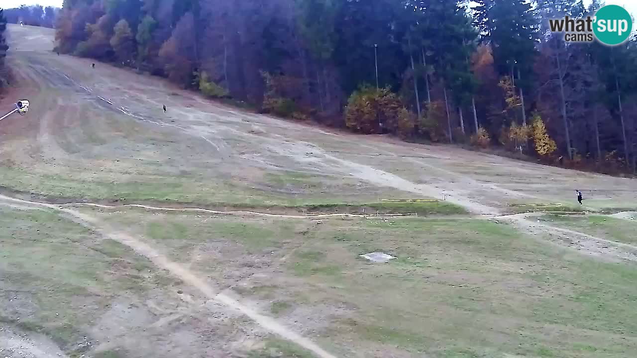 Web kamera Pohorje Trikotna Jasa | Poštela