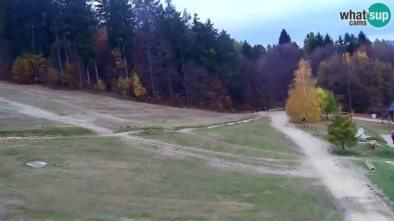 Web Camera Pohorje Trikotna Jasa | Poštela