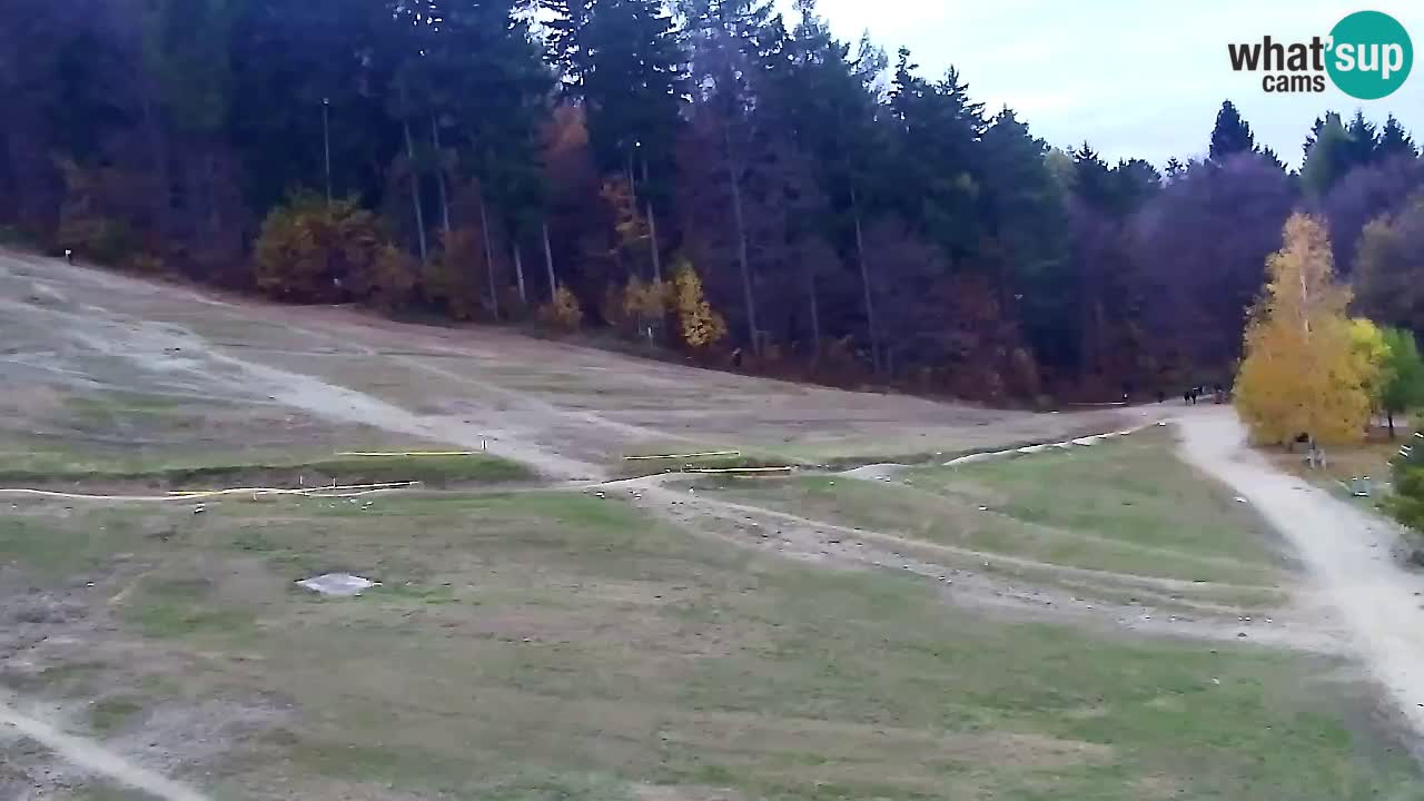 Webcam Pohorje Trikotna Jasa | Poštela