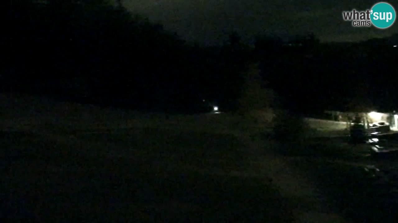 Webcam Pohorje Trikotna Jasa | Poštela