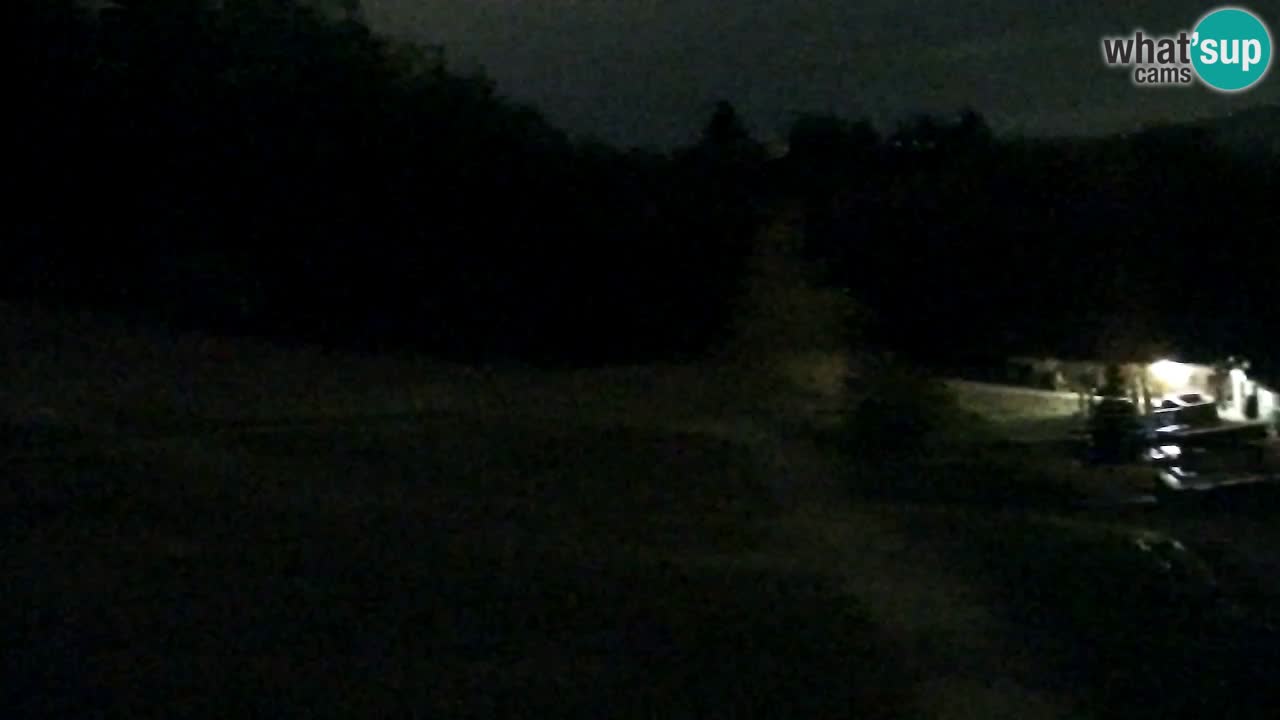 Webcam Pohorje Trikotna Jasa | Poštela