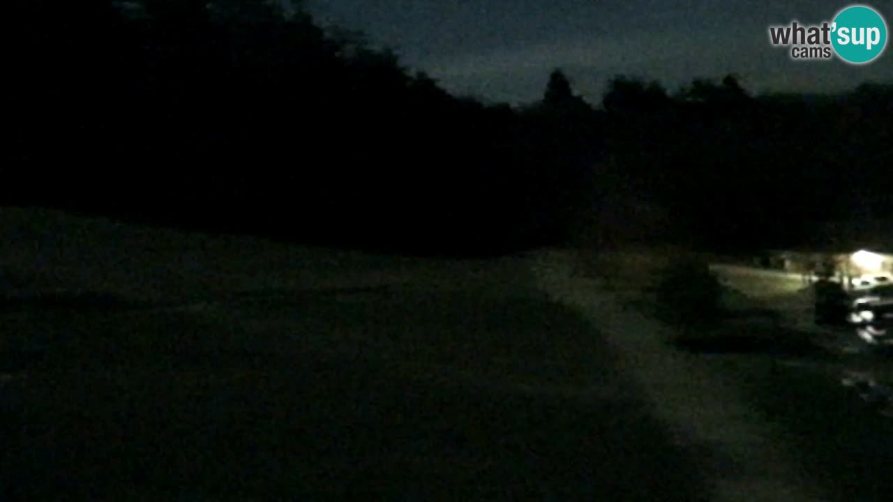 Web Camera Pohorje Trikotna Jasa | Poštela