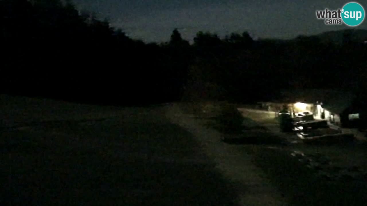 Spletna Kamera Pohorje Trikotna Jasa | Poštela