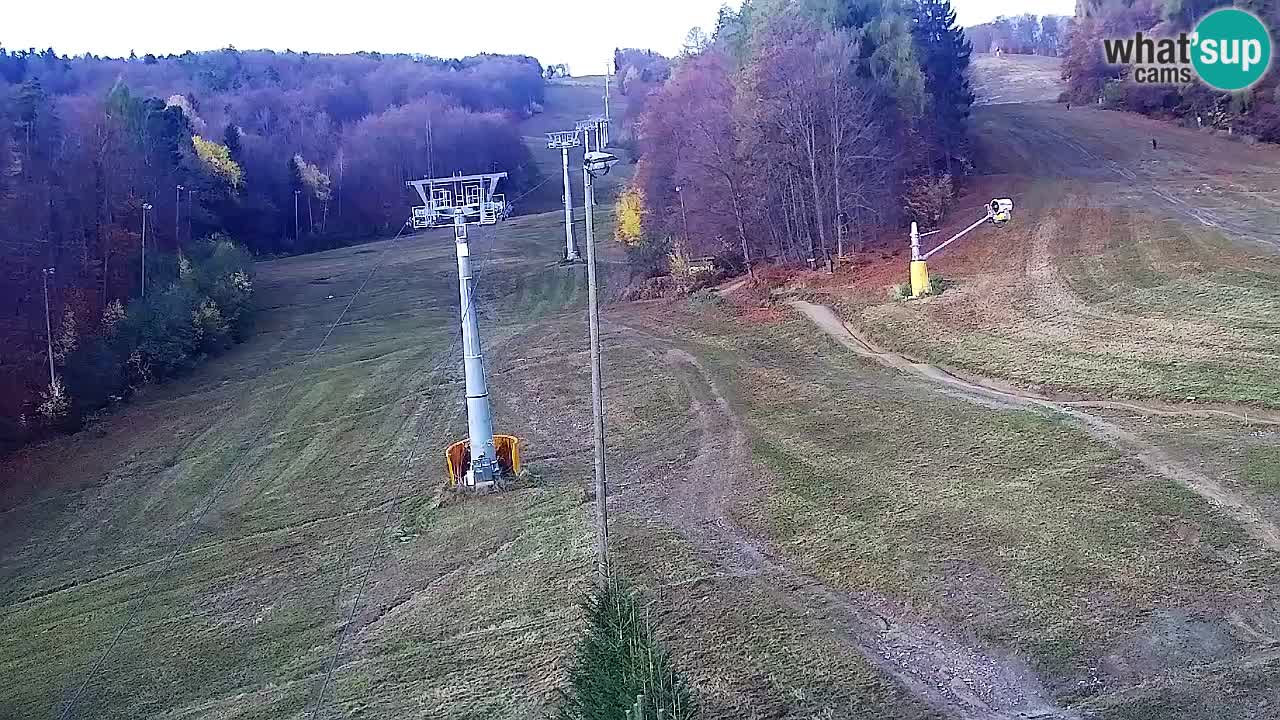 Webcam Pohorje Trikotna Jasa | Poštela