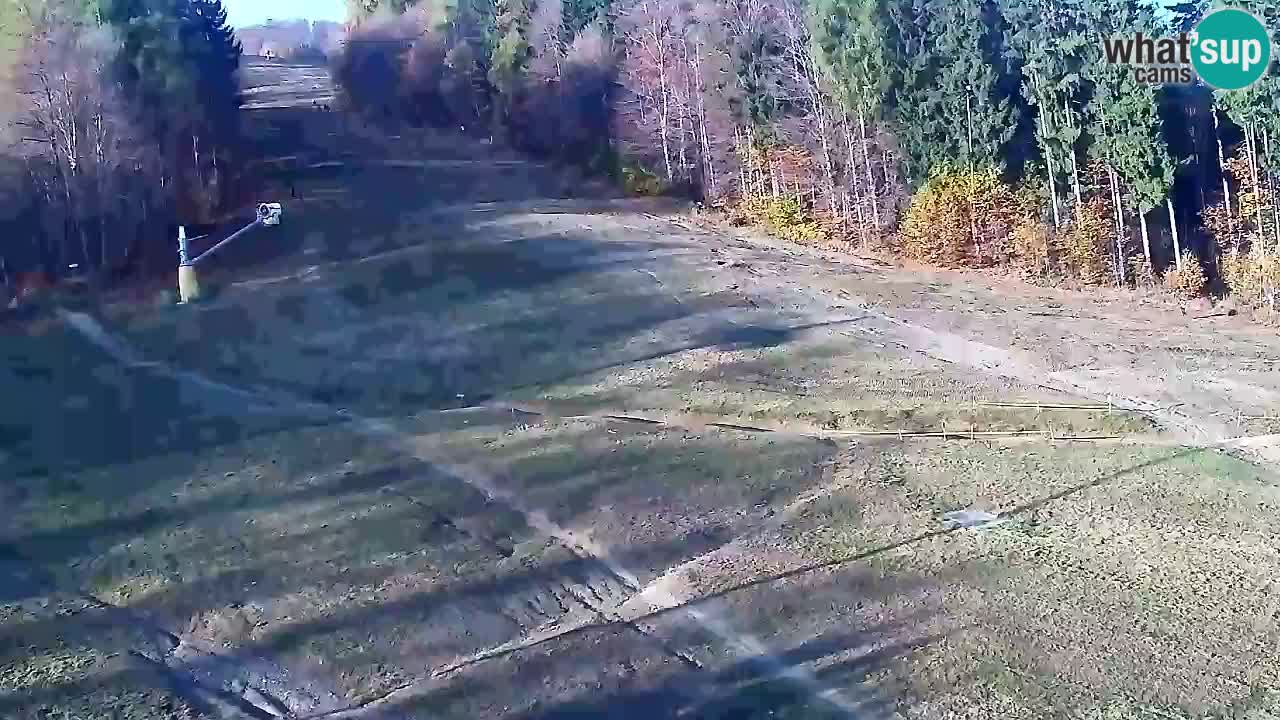 Web Camera Pohorje Trikotna Jasa | Poštela