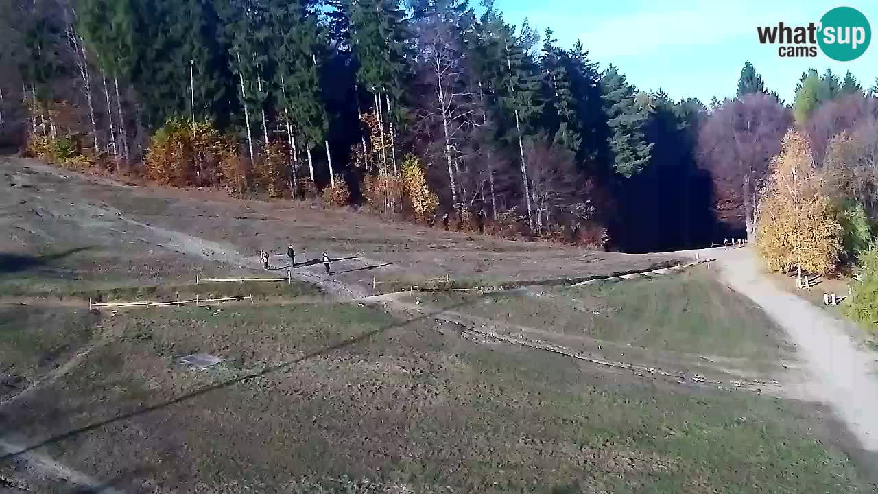 Webcam Pohorje Trikotna Jasa | Poštela