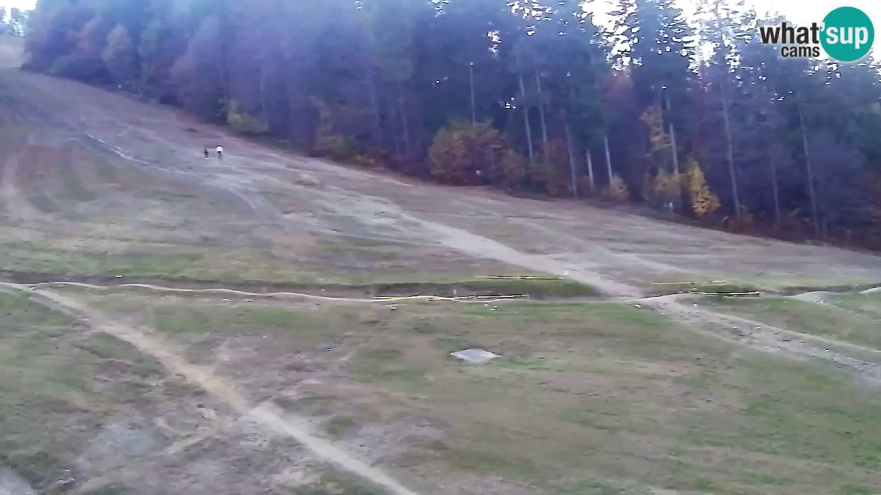 Webcam Pohorje Trikotna Jasa | Poštela