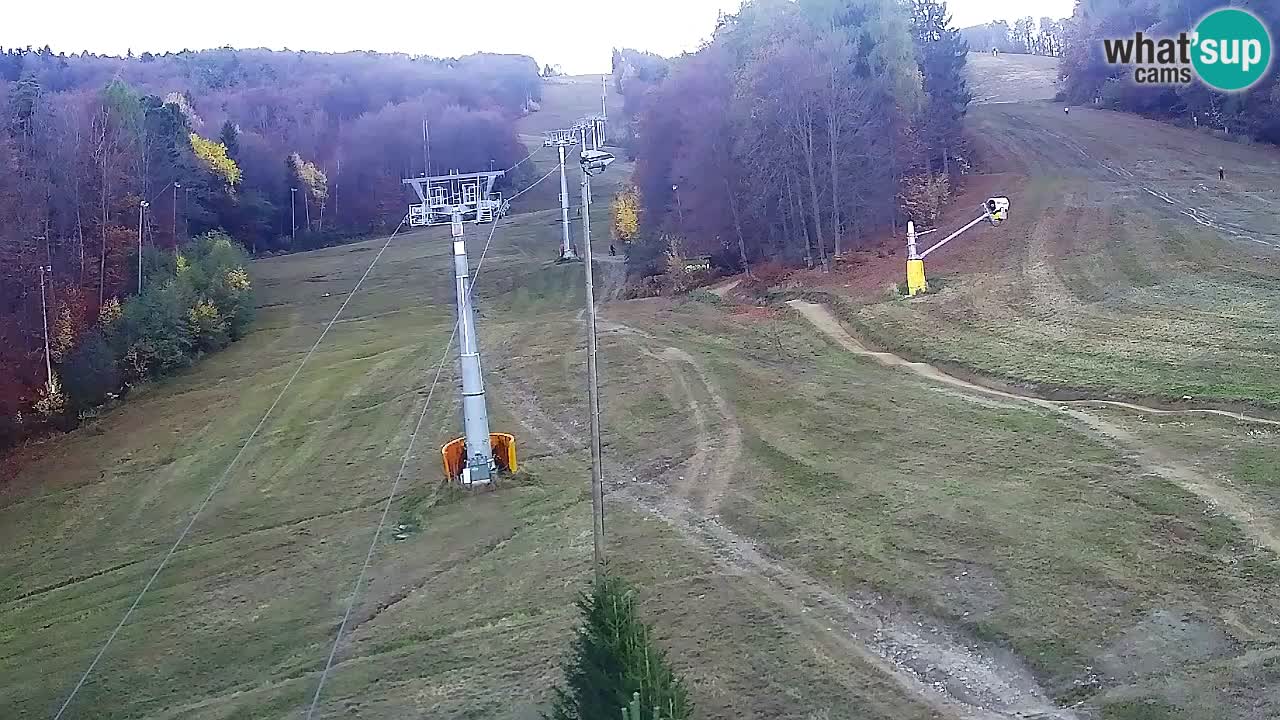Webcam Pohorje Trikotna Jasa | Poštela
