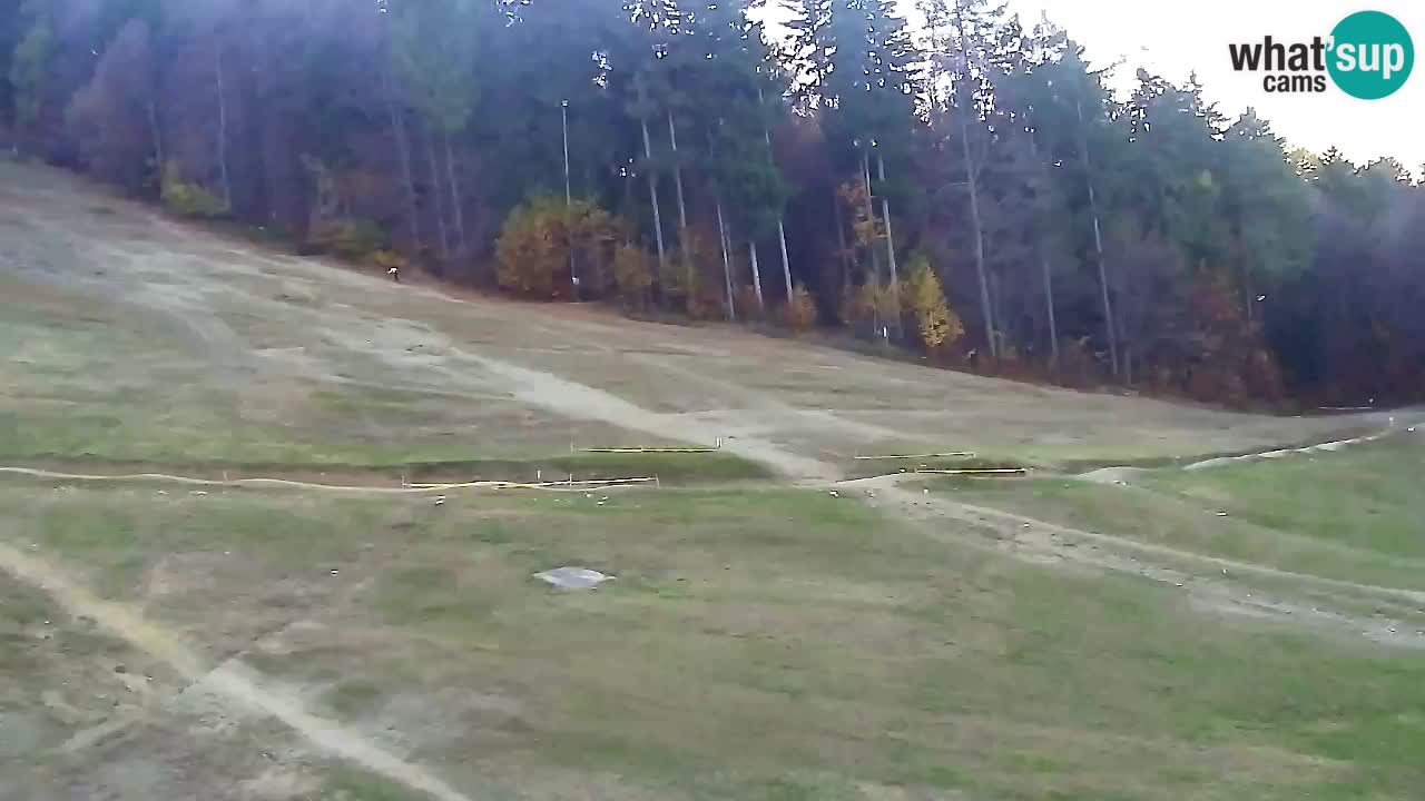 Web kamera Pohorje Trikotna Jasa | Poštela