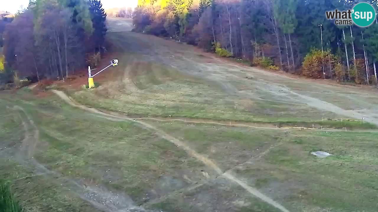 Web kamera Pohorje Trikotna Jasa | Poštela