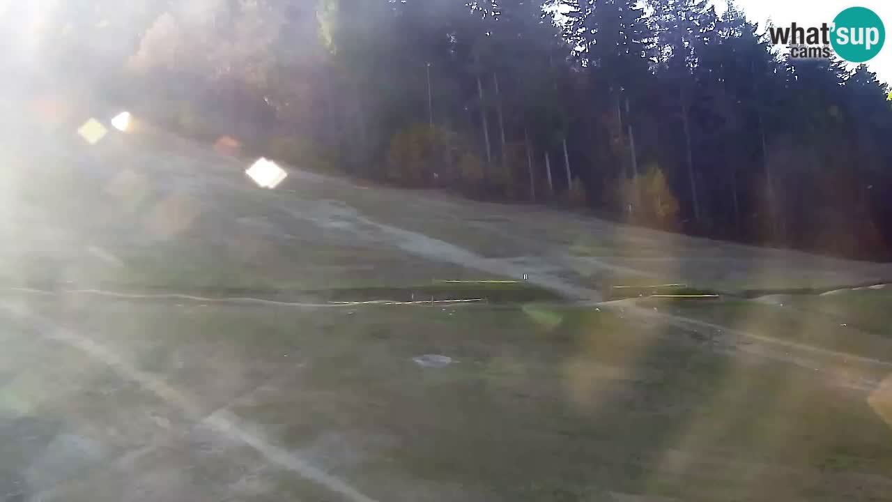 Web Camera Pohorje Trikotna Jasa | Poštela