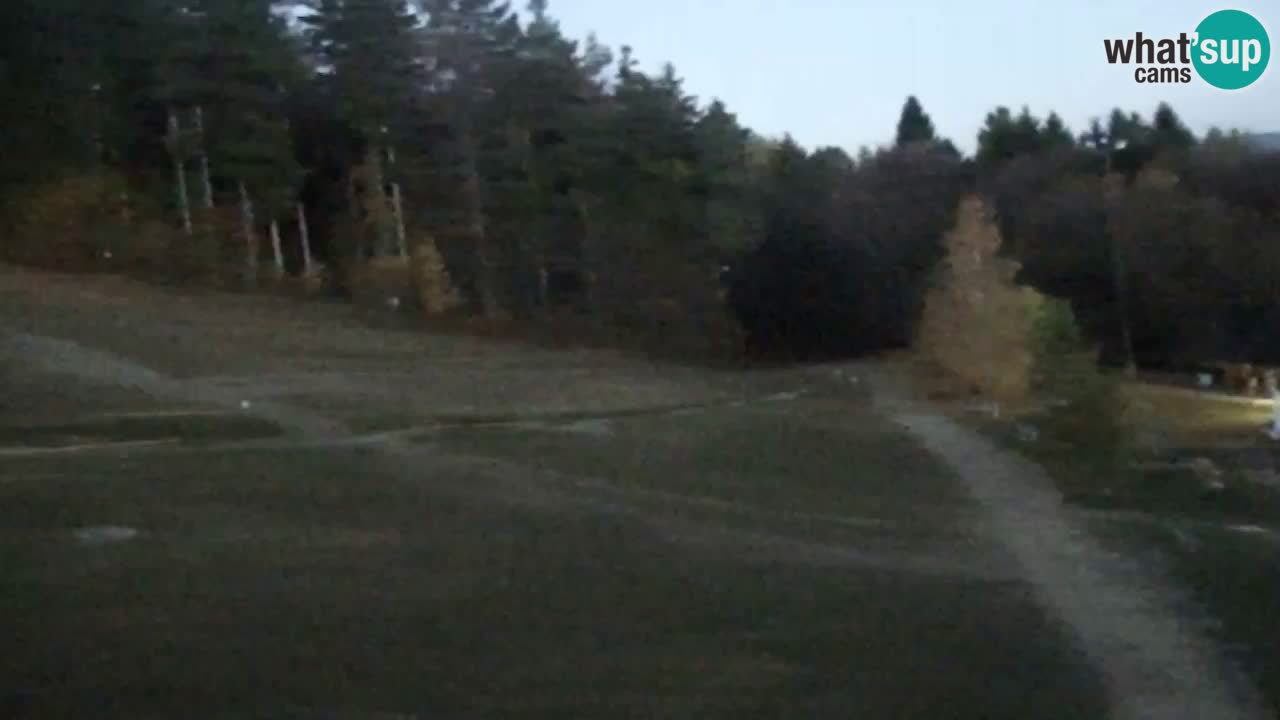 Web Camera Pohorje Trikotna Jasa | Poštela