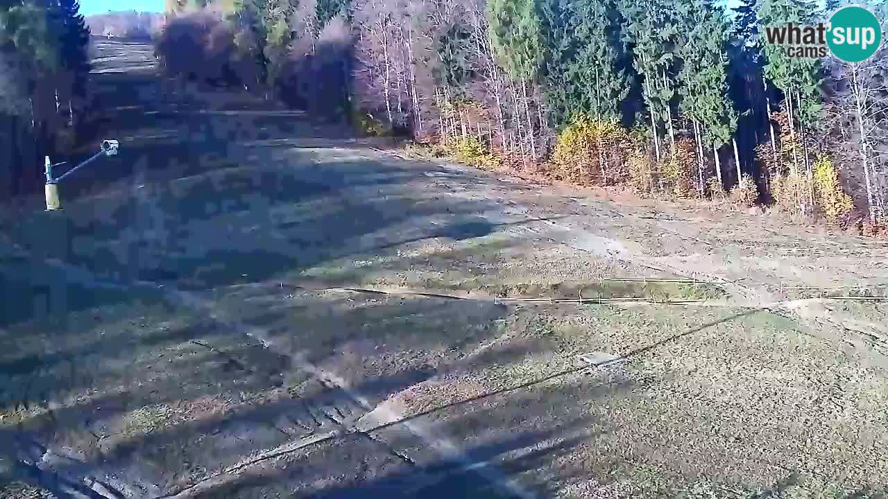 Webcam Pohorje Trikotna Jasa | Poštela