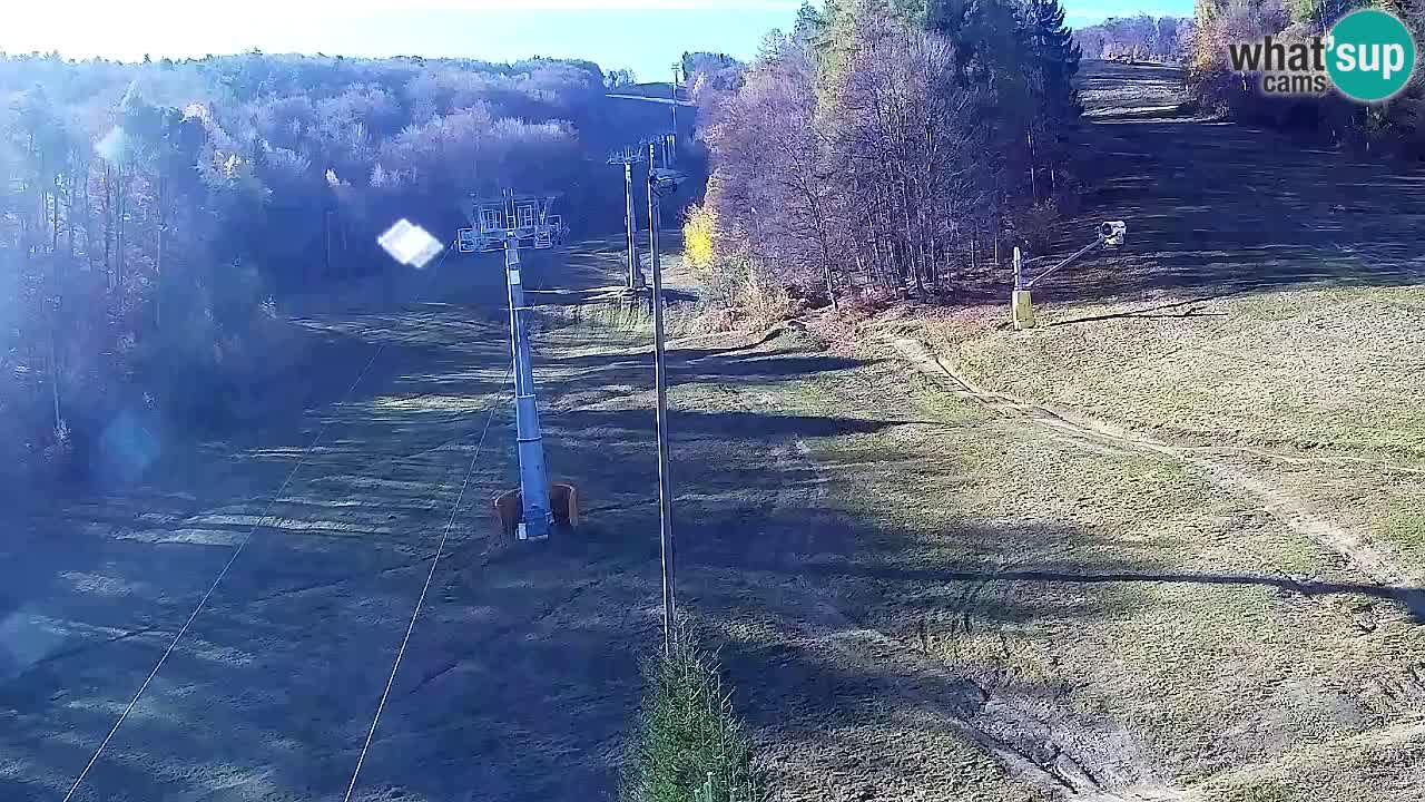 Webcam Pohorje Trikotna Jasa | Poštela