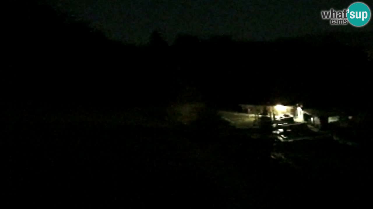 Webcam Pohorje Trikotna Jasa | Poštela