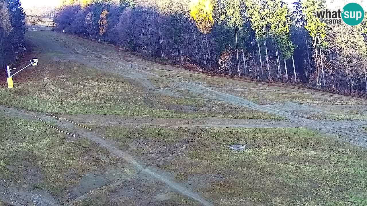 Web Camera Pohorje Trikotna Jasa | Poštela