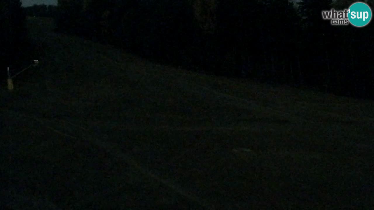 Webcam Pohorje Trikotna Jasa | Poštela