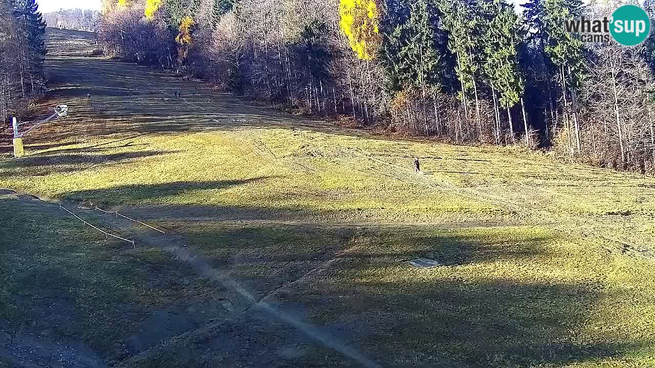Spletna Kamera Pohorje Trikotna Jasa | Poštela