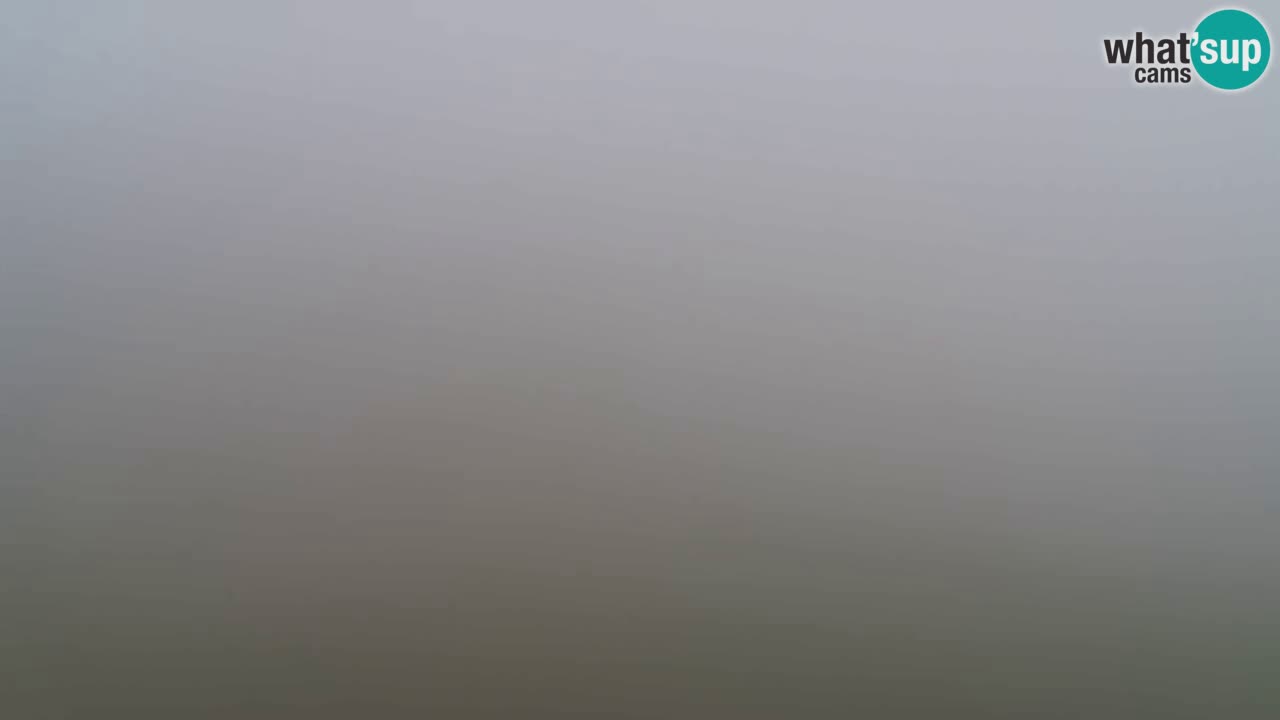 Webcam Pohorje Trikotna Jasa | Poštela