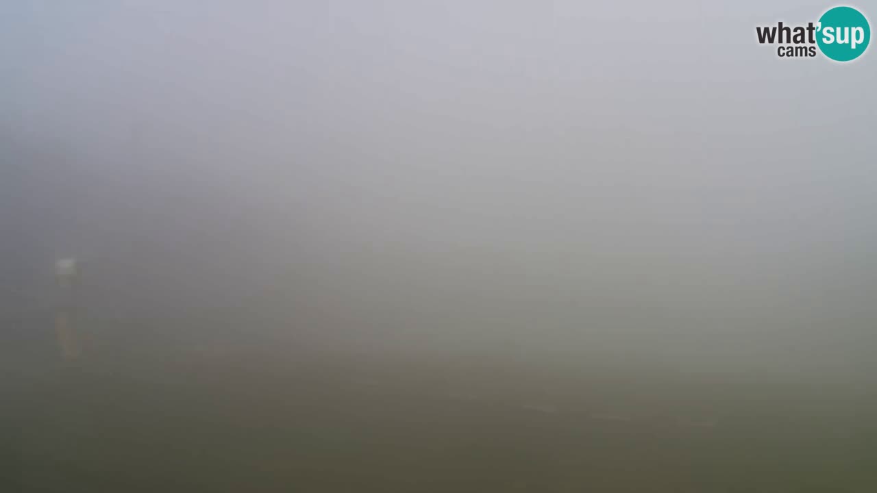 Webcam Pohorje Trikotna Jasa | Poštela