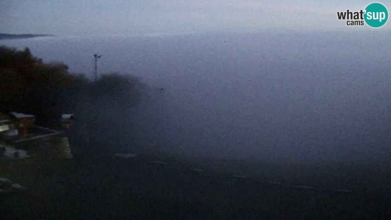 Webcam Pohorje Trikotna Jasa | Poštela