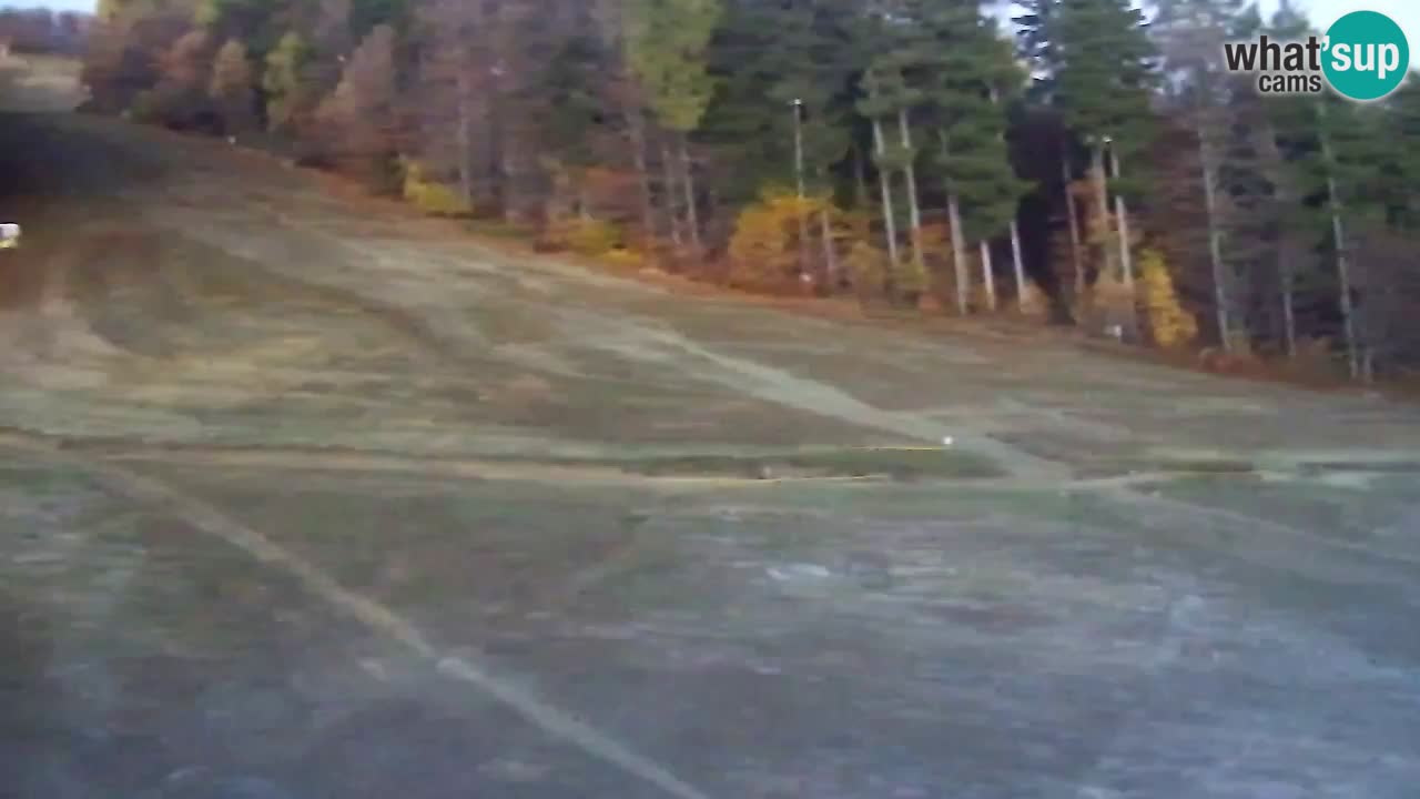 Webcam Pohorje Trikotna Jasa | Poštela