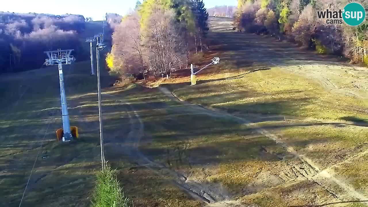 Webcam Pohorje Trikotna Jasa | Poštela