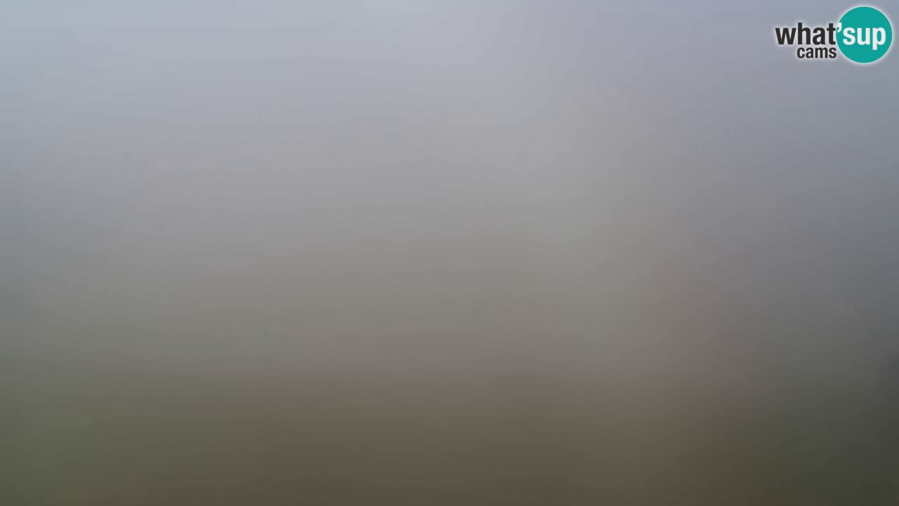 Webcam Pohorje Trikotna Jasa | Poštela