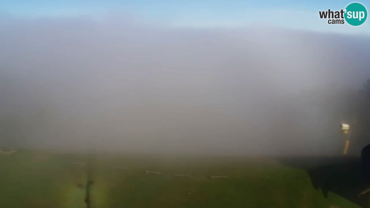 Webcam Pohorje Trikotna Jasa | Poštela