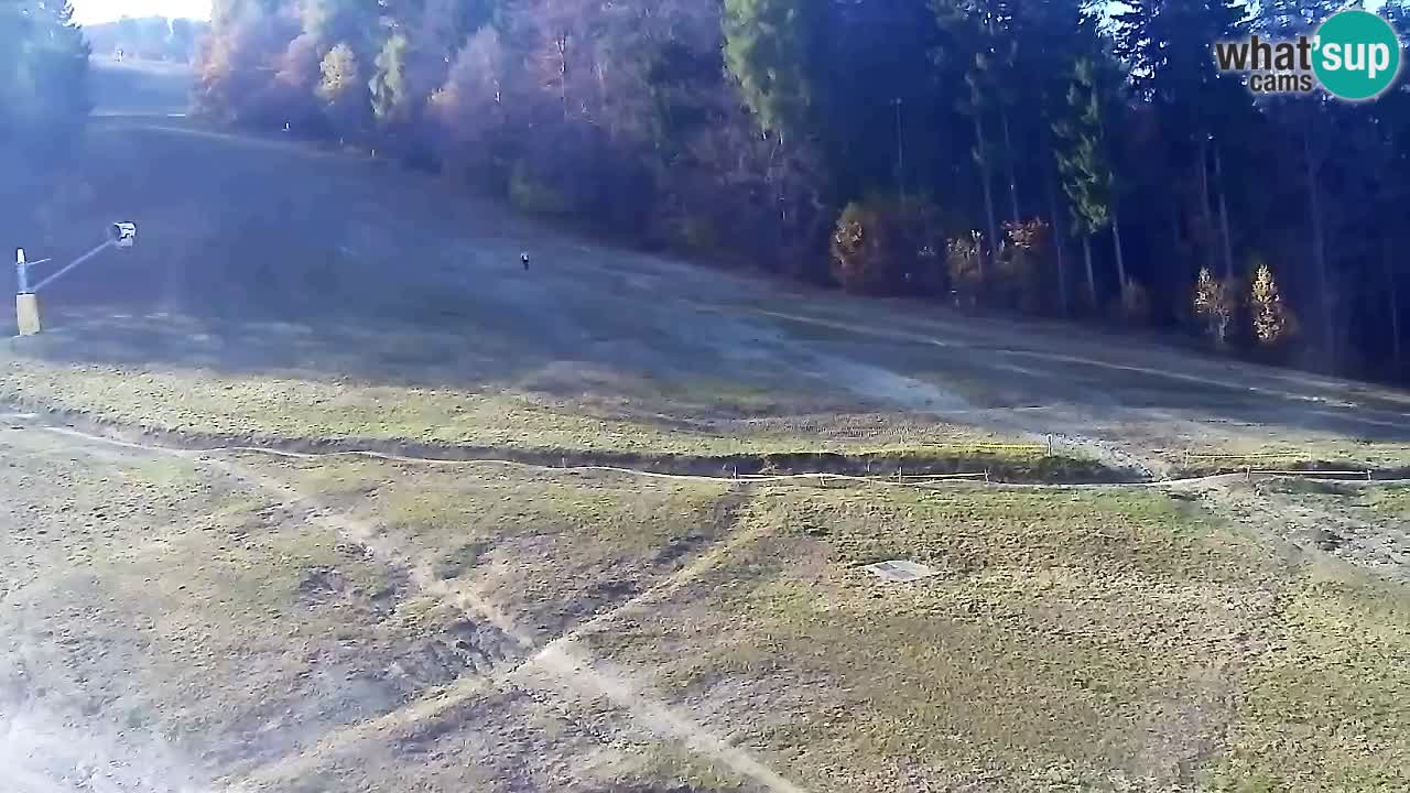 Webcam Pohorje Trikotna Jasa | Poštela