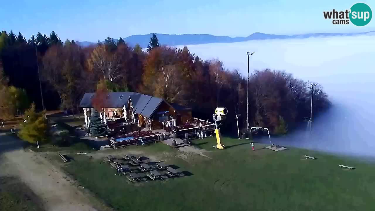 Webcam Pohorje Trikotna Jasa | Poštela