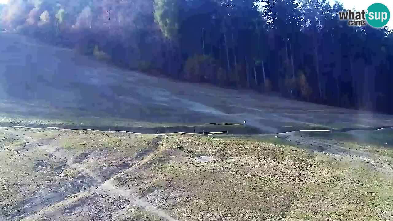 Webcam Pohorje Trikotna Jasa | Poštela