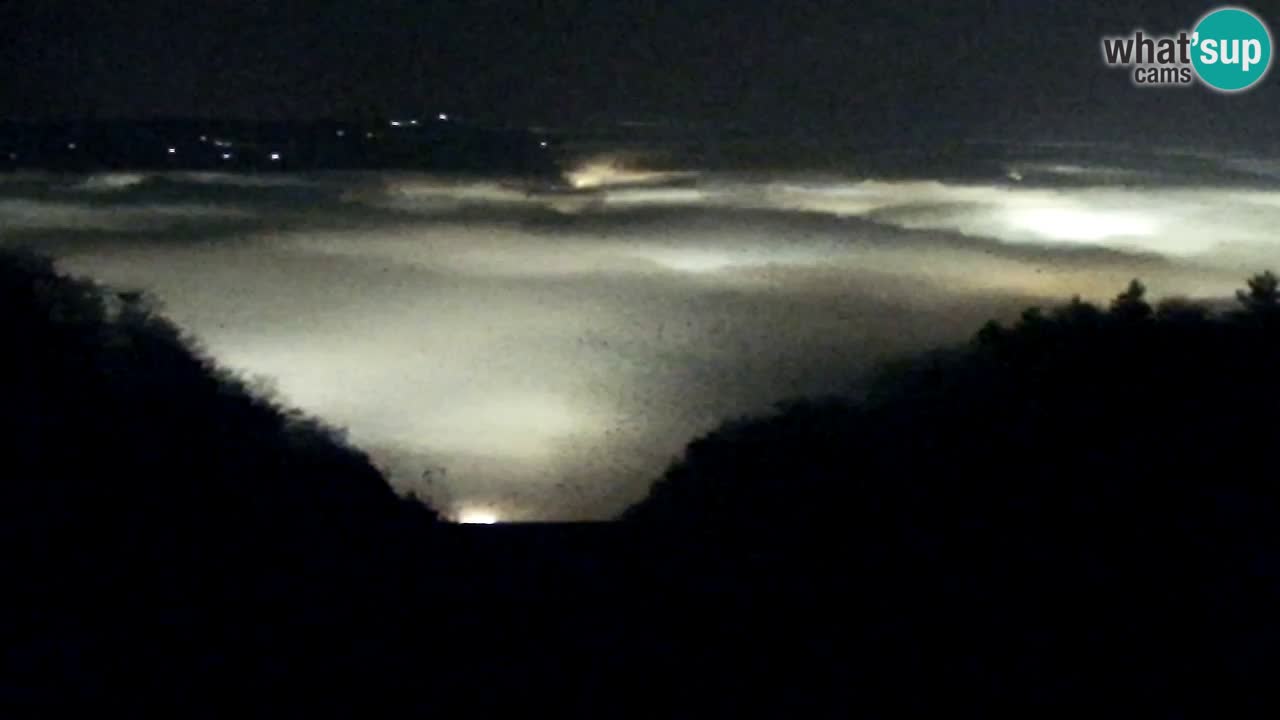 Web Camera Pohorje Trikotna Jasa | Poštela